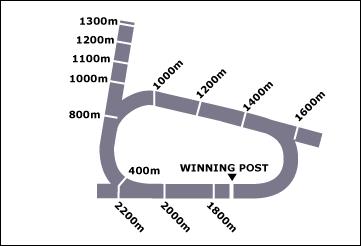 Seymour Race Course