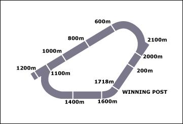 Gosford Race Course