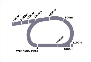 Lismore Race Course