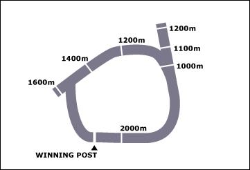 Quirindi Race Course