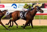 Rock Of Ages winning the Bata Shoes Tour of Victoria 0 - 78 Handicap at Mornington - photo by Race Horse Photos Australia