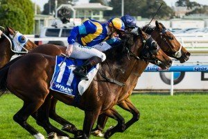 It's A Dundeel winning the Hyland Race Colours Underwood Stakes at Caulfield - photo by Race Horse Photos Australia