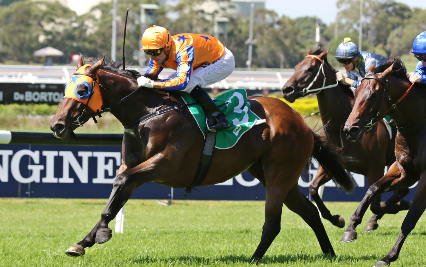 NZ Thoroughbred Breeders Stakes 2025 Field, Tips, Betting Odds, Results