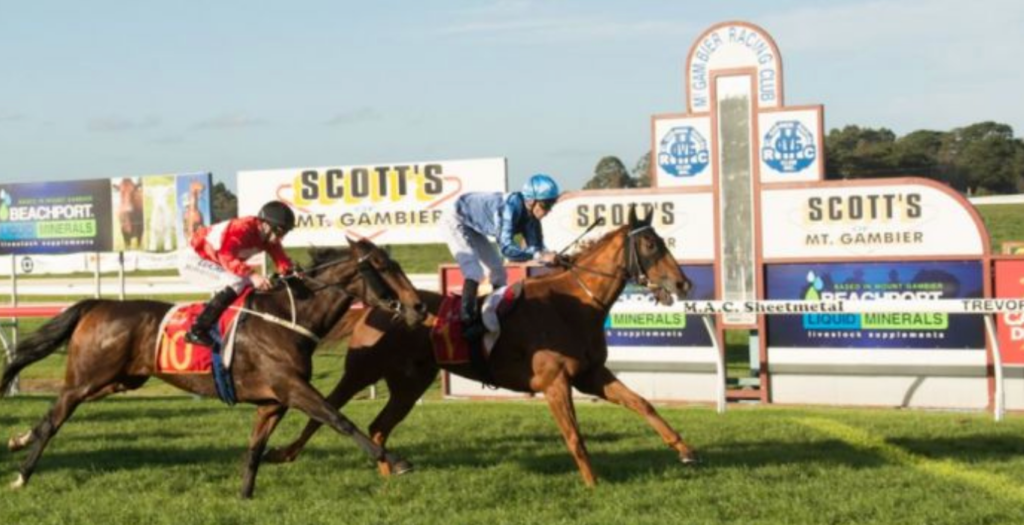 26/5/2024 Horse Racing Tips and Best Bets – Mount Gambier
