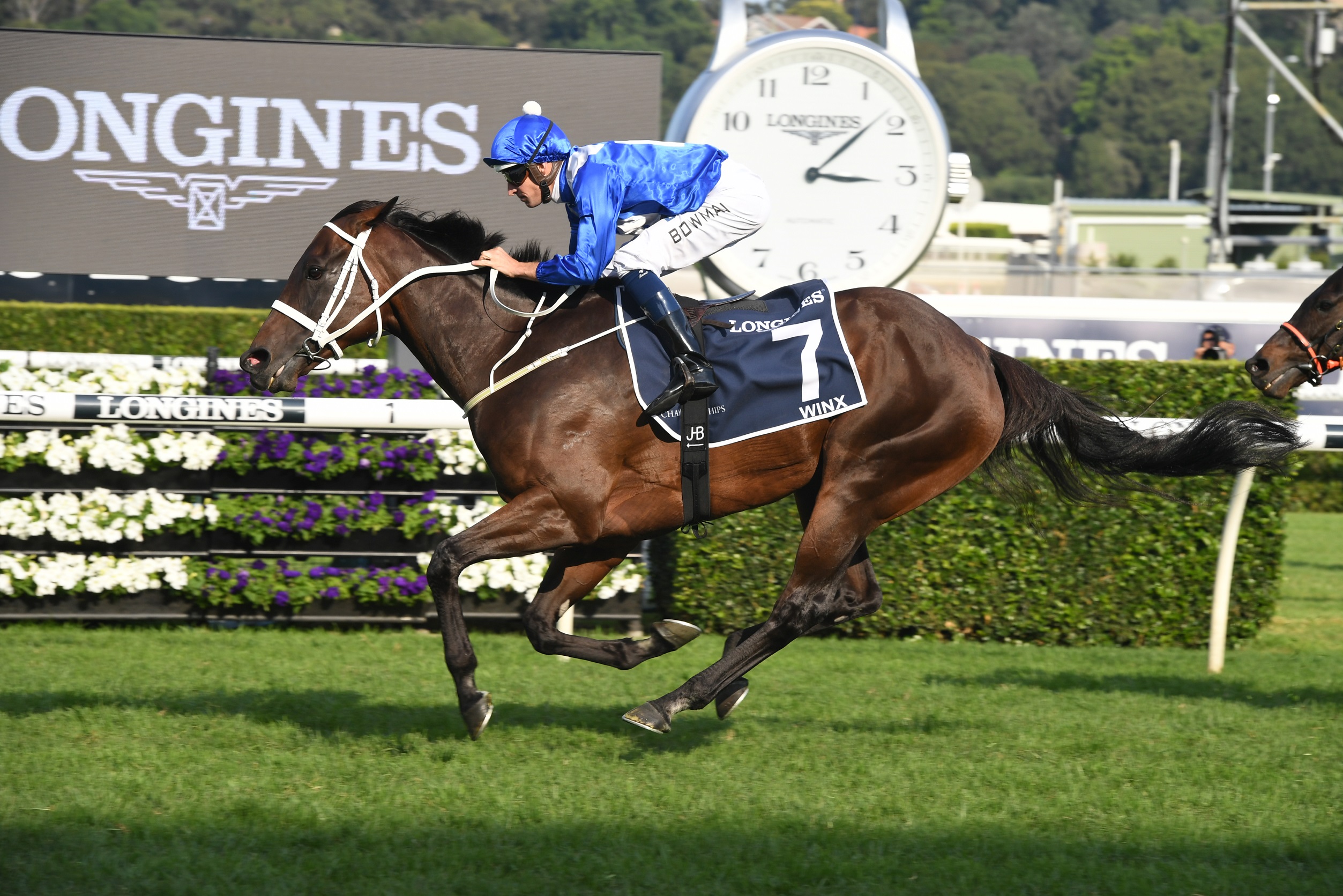 Champion mare Winx bows out a winner