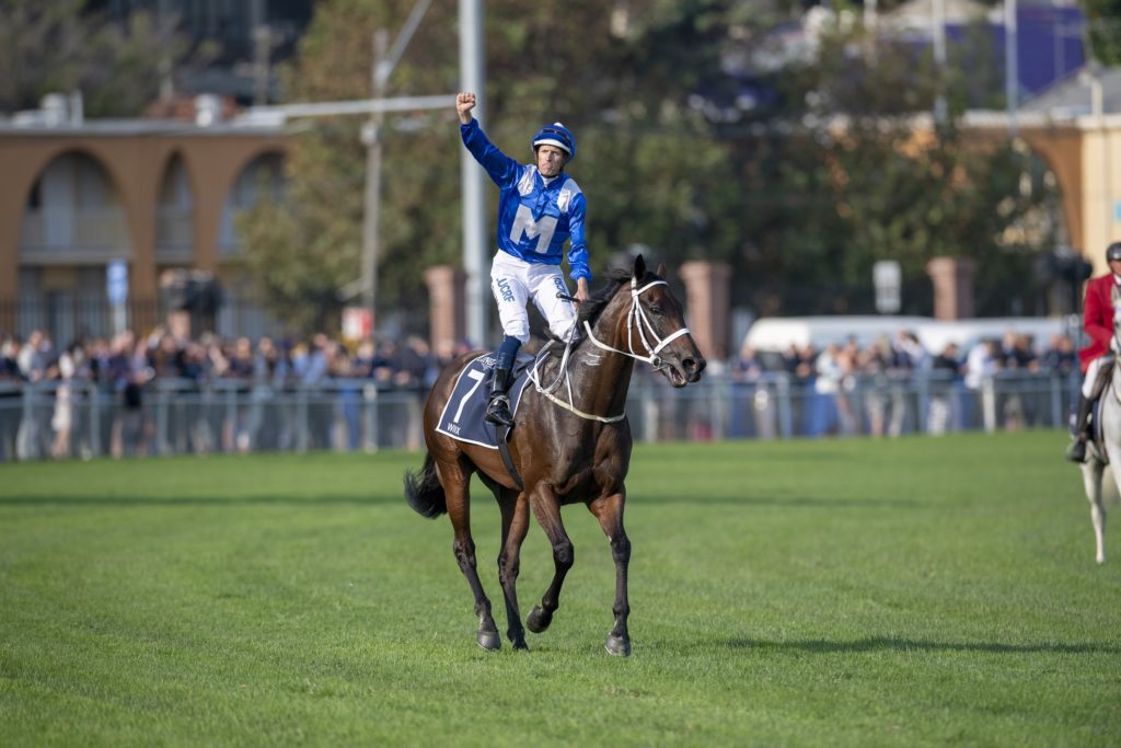 Winx's first foals name?