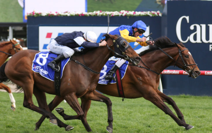 Underwood Stakes 2020 Field Tips Betting Odds Results