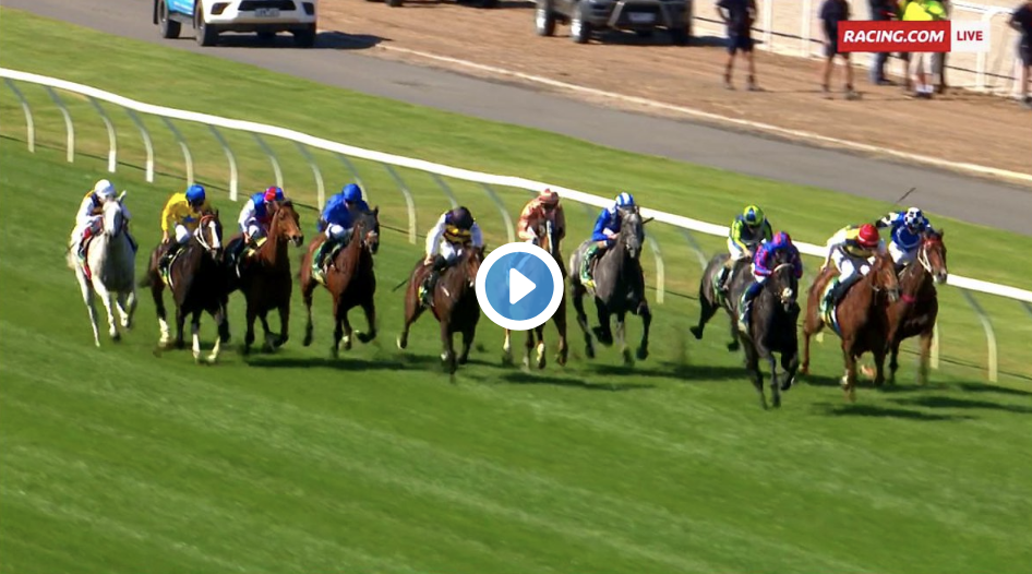 Melbourne Cup Fields History