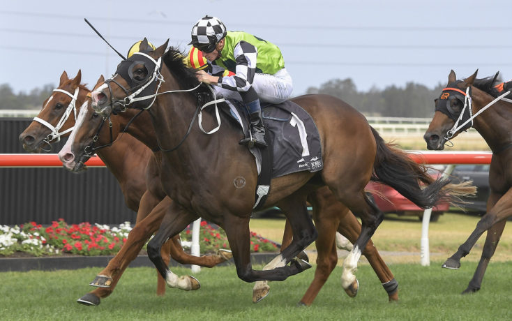 The Gong 2020 Field Tips Horses Odds And Results