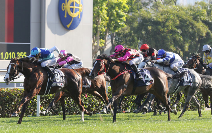 Hong Kong Classic Cup 2024 Field, Tips, Betting Odds, Results