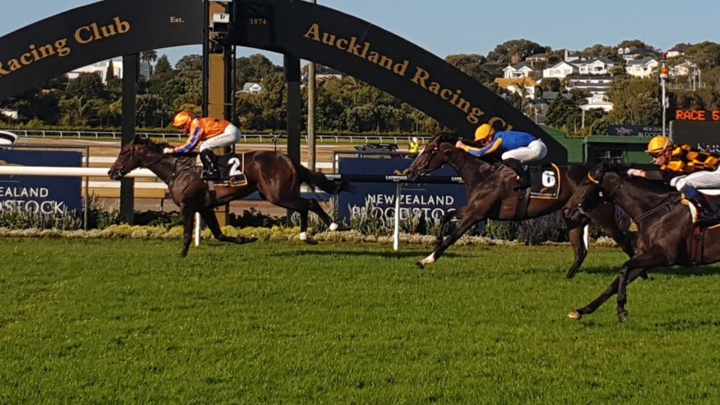 Karaka Million 2YO 2024 Field, Tips, Betting Odds, Results