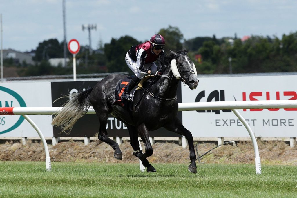 Wellington Cup field wide open