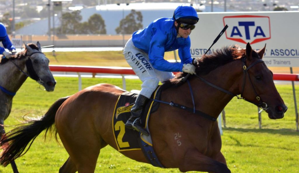 Tasmanian Derby 2025 Field, Tips, Betting Odds, Results