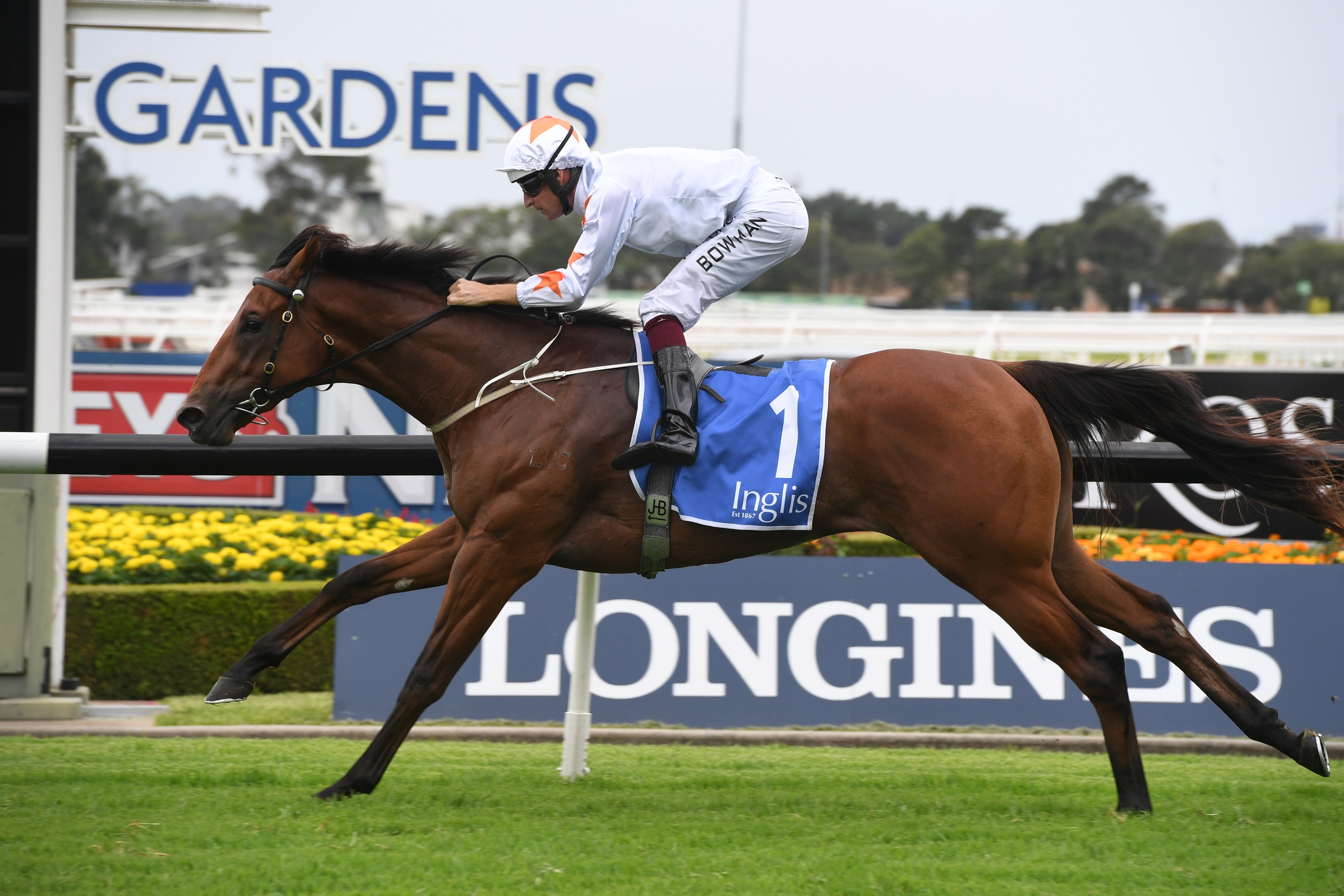 Golden Slipper Order Of Entry 2020