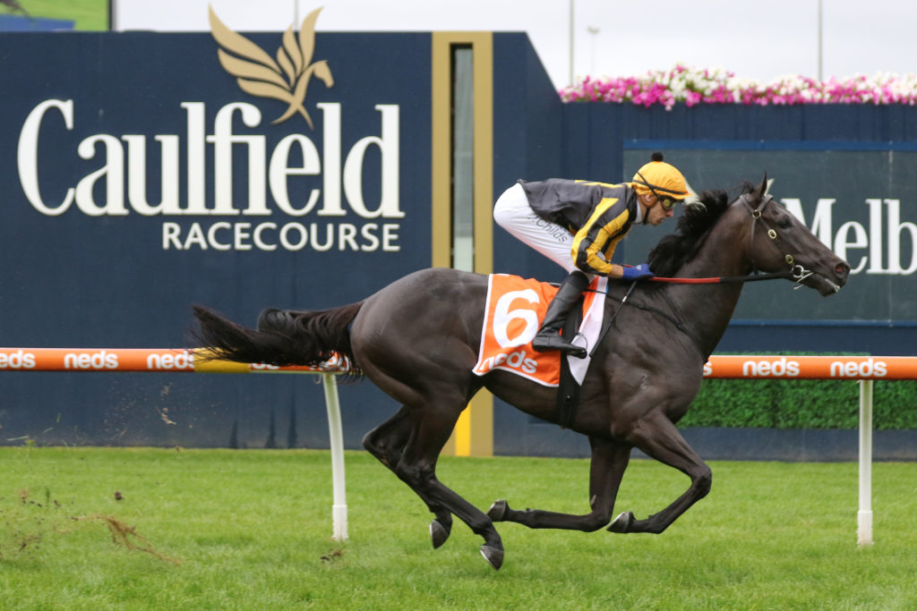 Caulfield Cup Likely Field – 2022