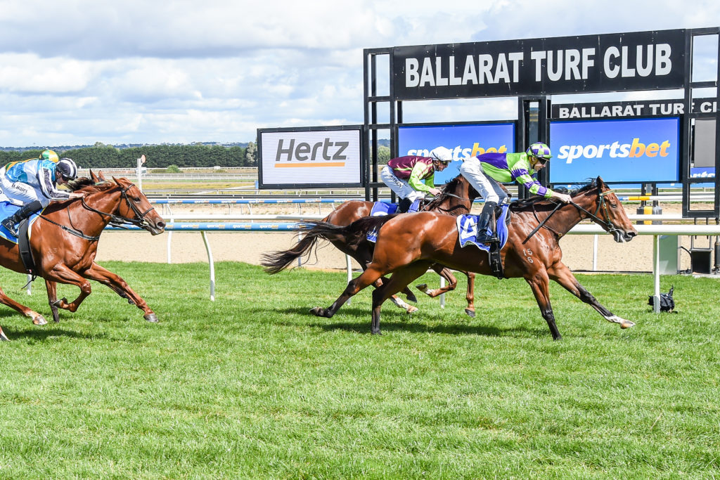 17/10/2024 Horse Racing Tips and Best Bets – Ballarat