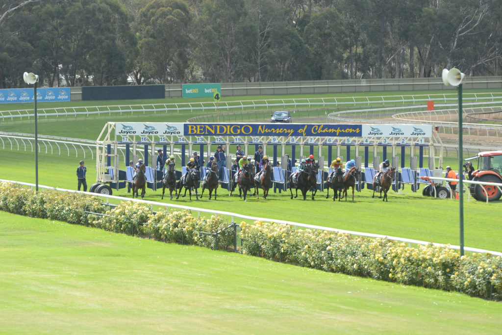 6/10/2024 Horse Racing Tips and Best Bets – Bendigo