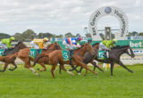 Geelong Races