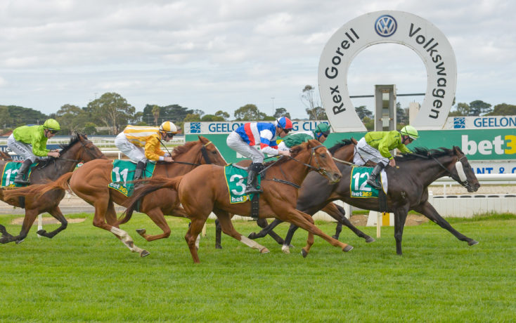 Geelong Races