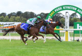 Kyneton races