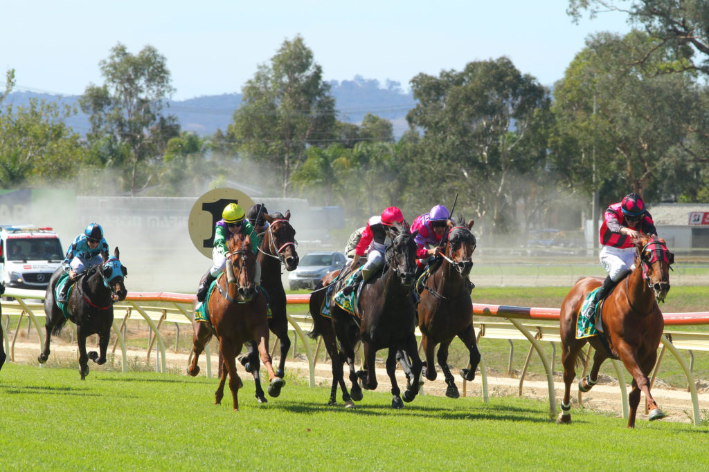 25/5/2024 Horse Racing Tips and Best Bets – Wodonga