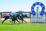 Ararat Races