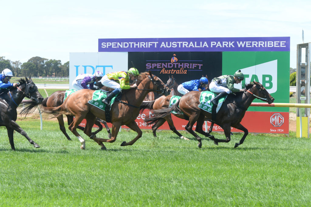 6/5/2024 Horse Racing Tips and Best Bets – Werribee