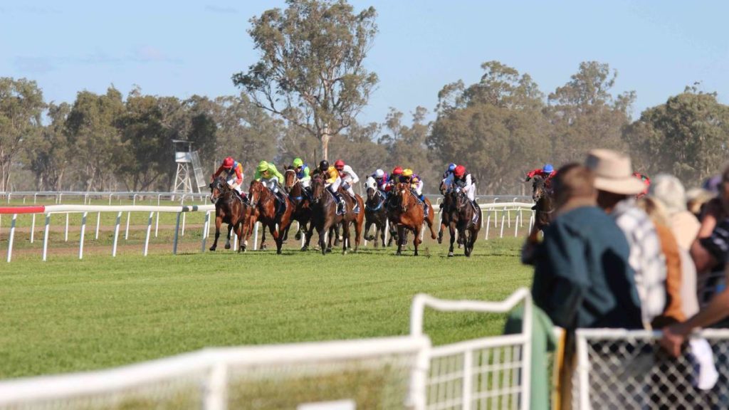 20/1/2025 Horse Racing Tips and Best Bets – Gunnedah