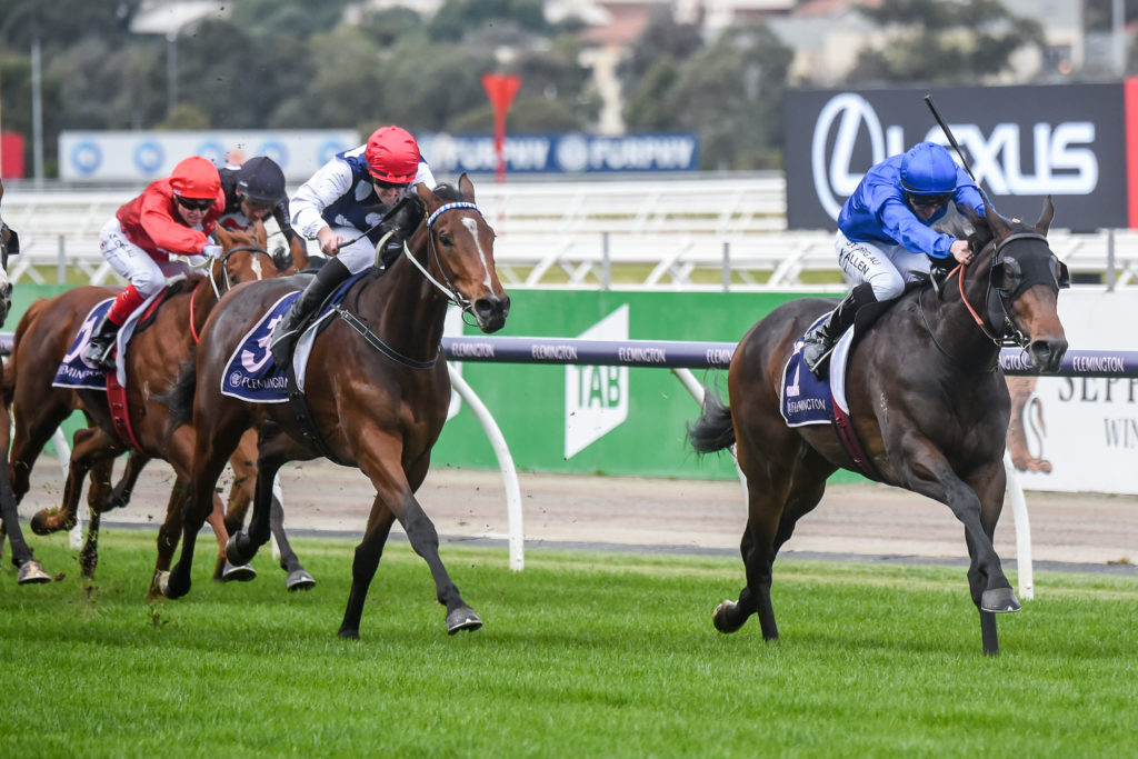Horse Racing Big Collects, Bets and Moves Saturday's Races 18/7/2020