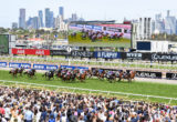 Melbourne Cup tips and odds