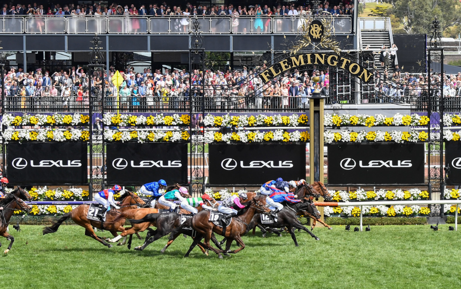 Melbourne Cup Predicted Finishing Order 2022