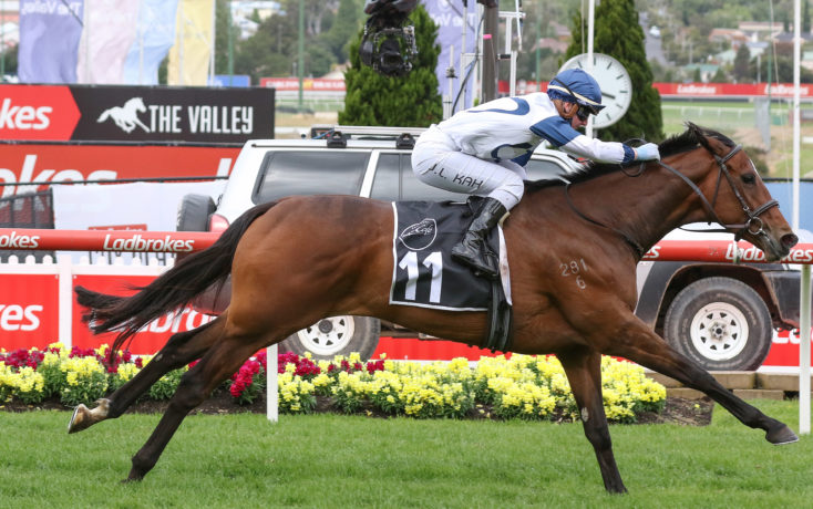 Moonee Valley Cup 2021 Field Tips Betting Odds Results