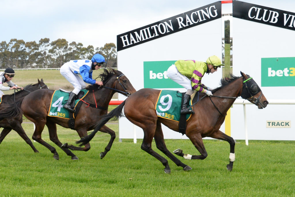 30/5/2024 Horse Racing Tips and Best Bets – Hamilton