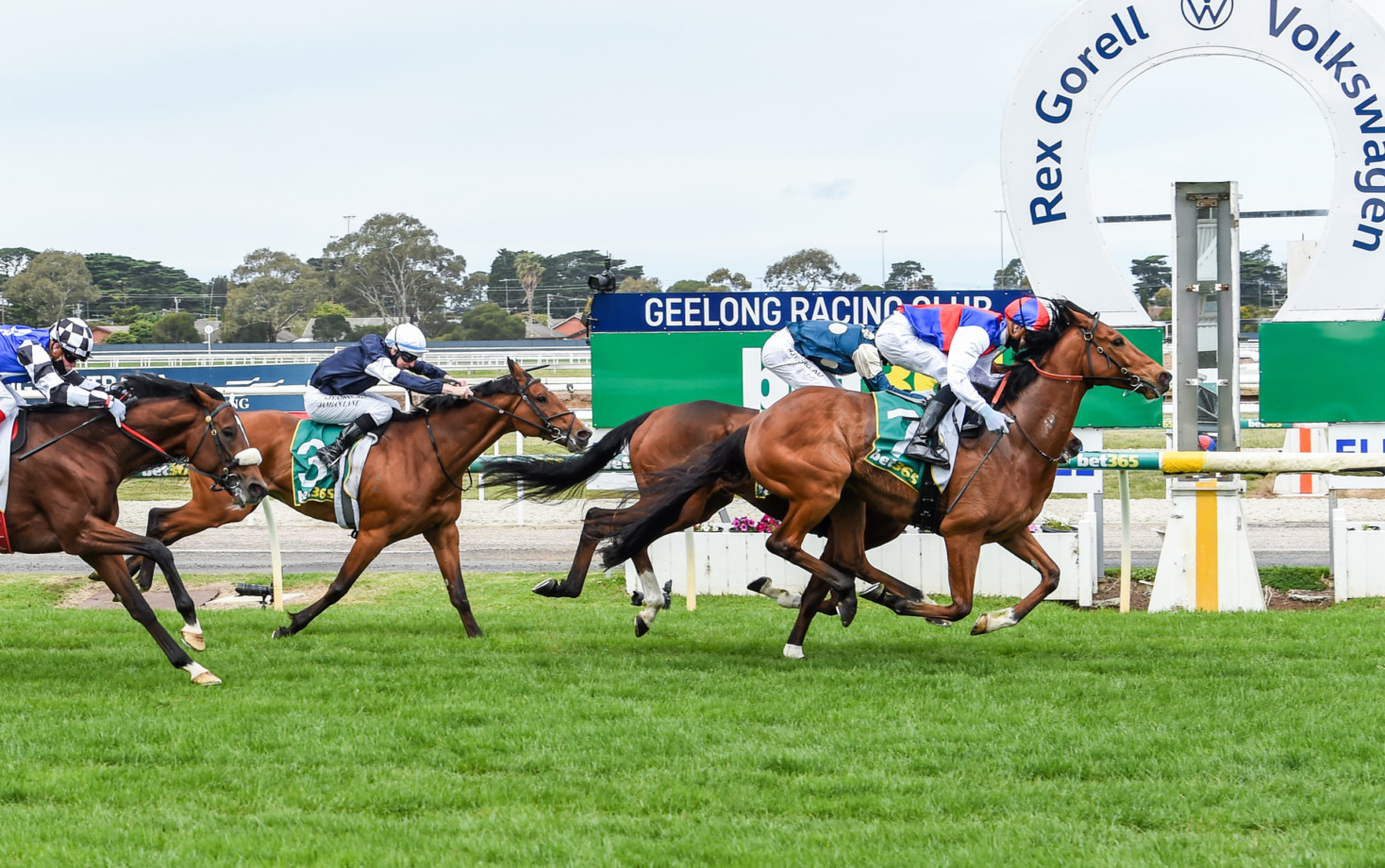 Geelong Cup 2021 Field, Tips, Betting Odds, Results