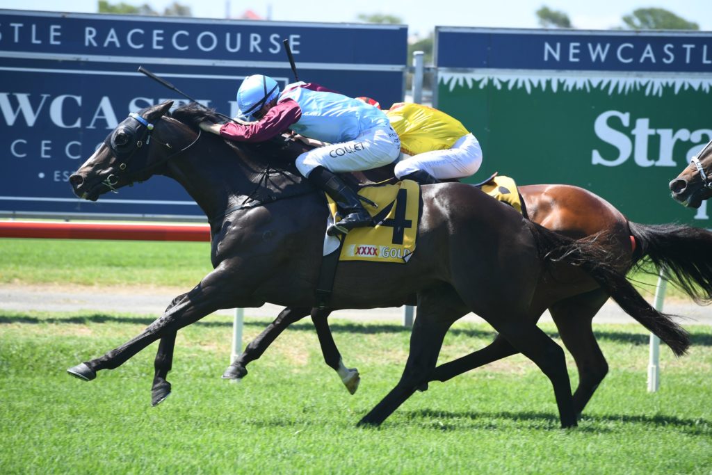 australian bookmaker