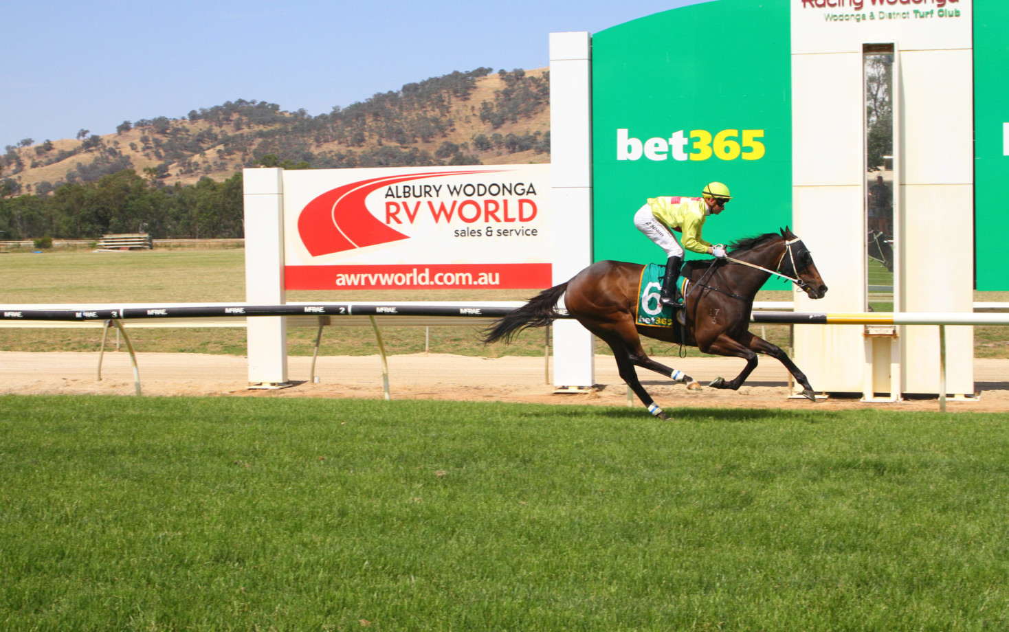 Wodonga Cup 2024 Field, Tips, Betting Odds, Results