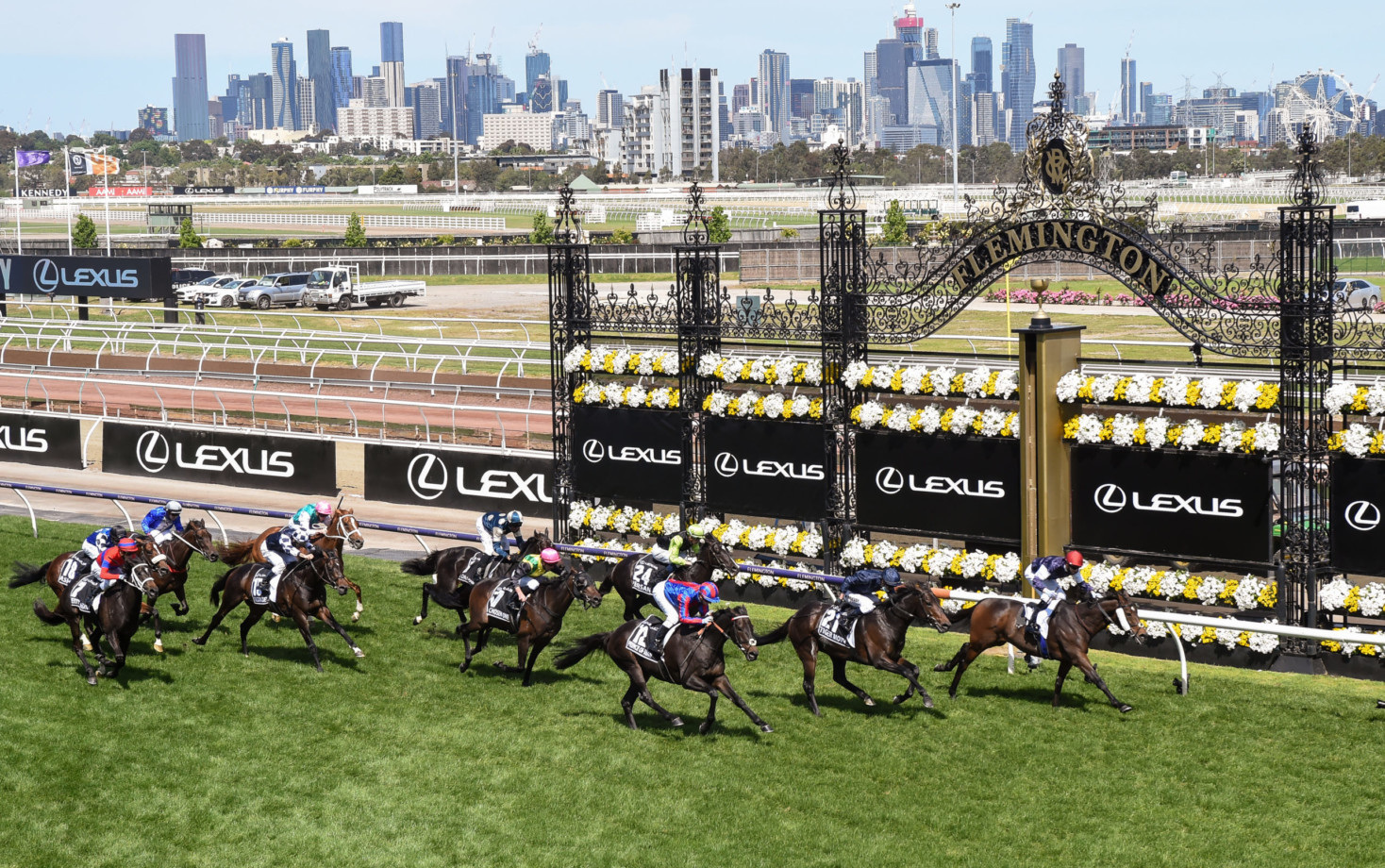 2022 Melbourne Cup day Fields released