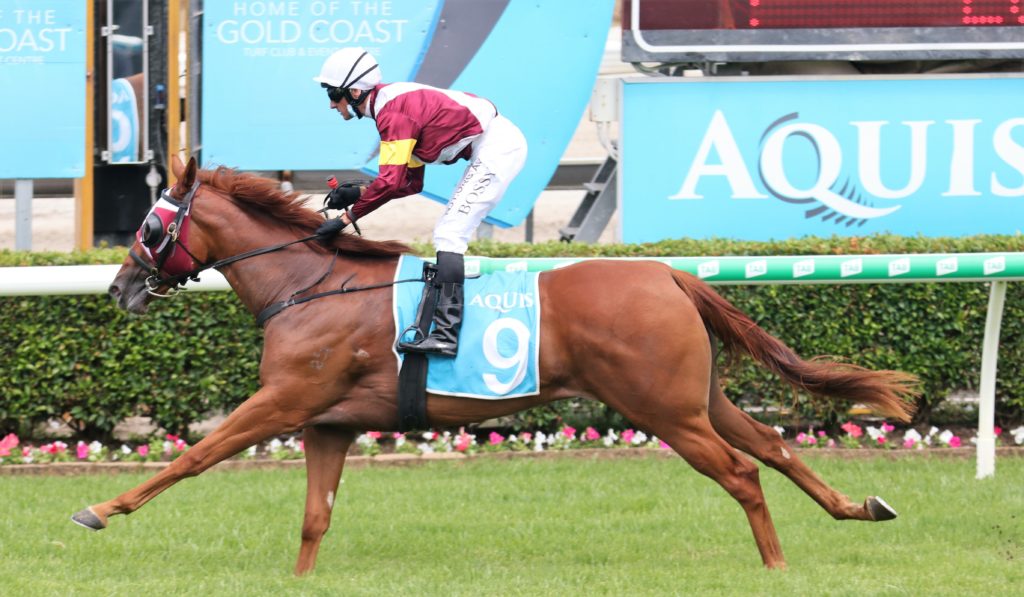 Magic Millions Classic Odds, Market Movers, Horses ...