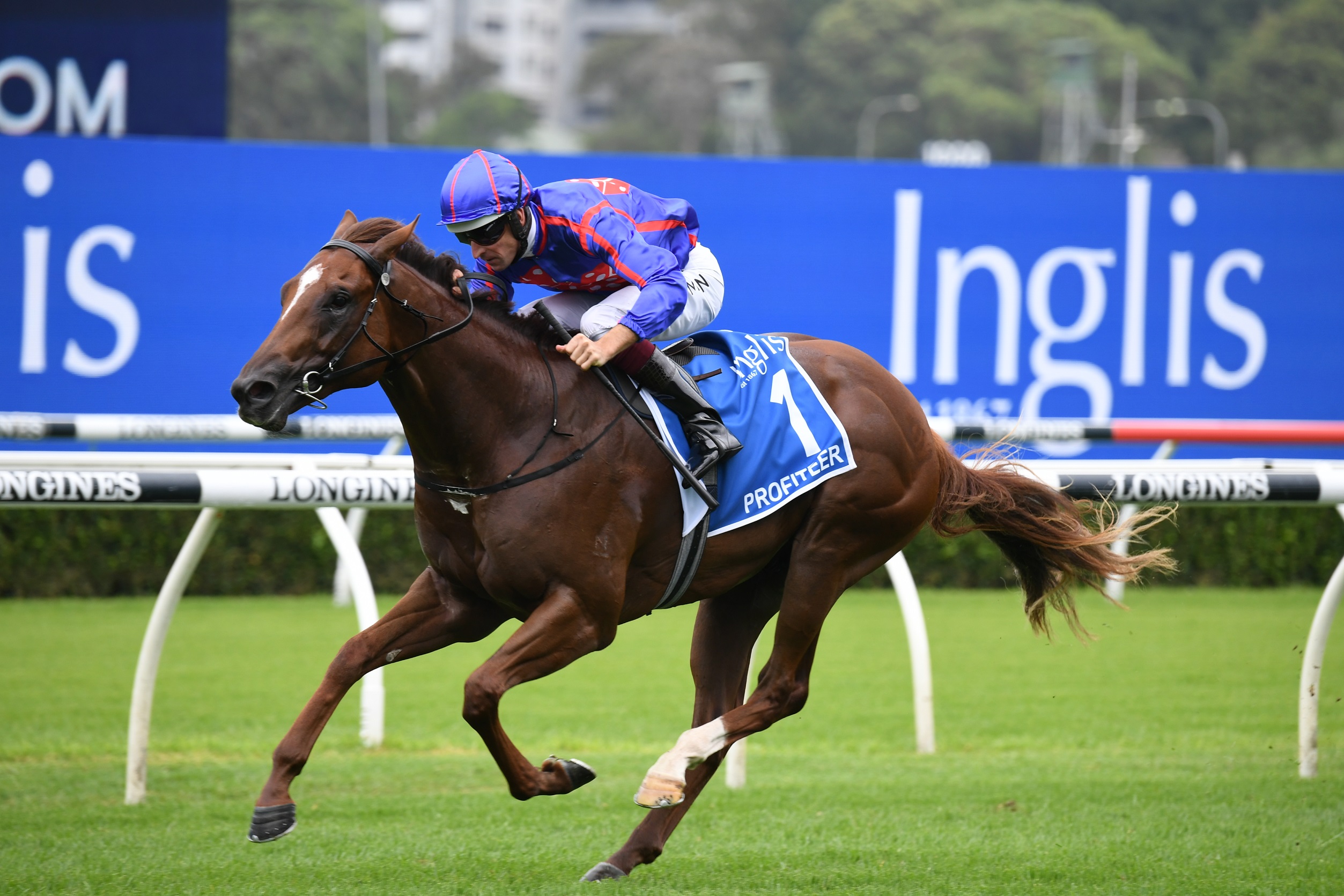 Likely Golden Slipper Field 2021