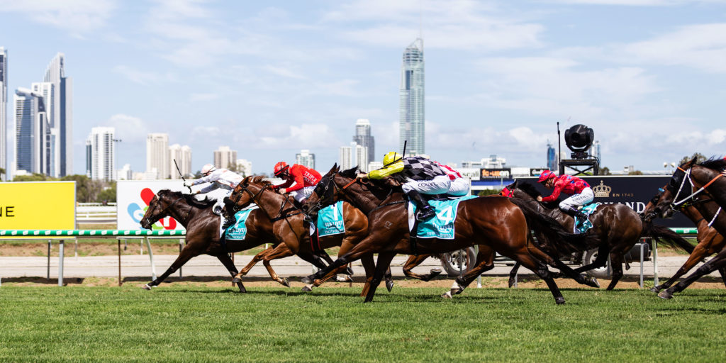 25/5/2024 Horse Racing Tips and Best Bets – Gold Coast