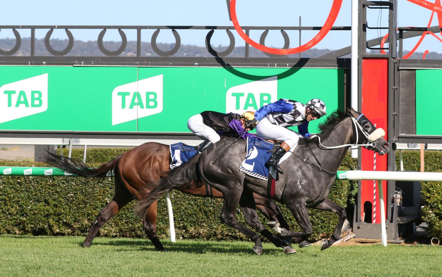 Morphettville Guineas 2023 Field, Tips, Betting Odds, Results