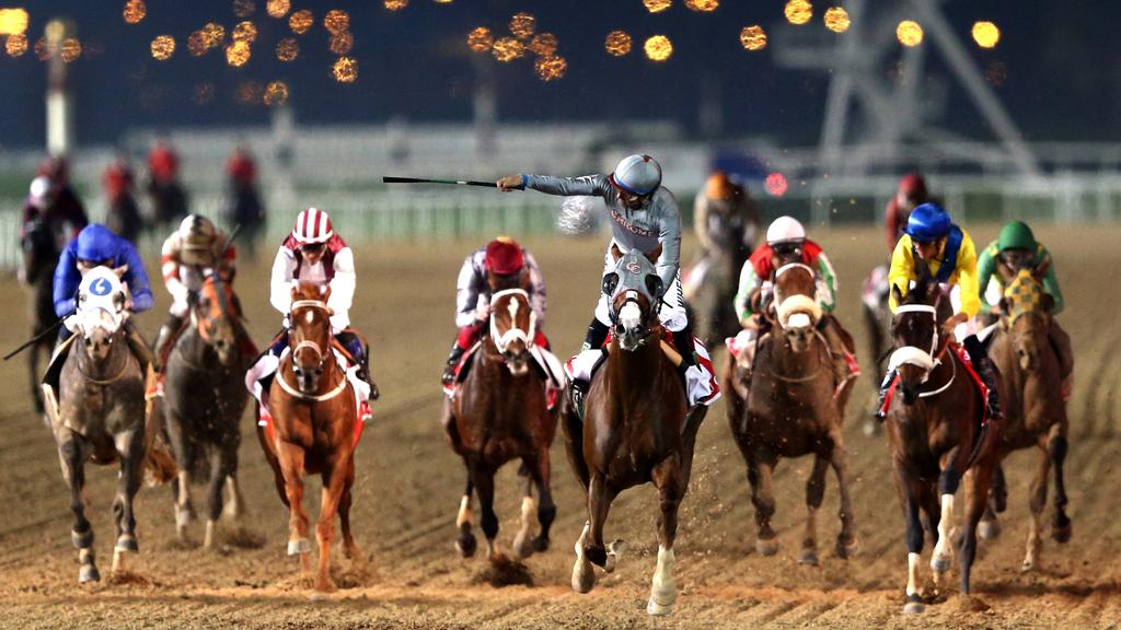 Who won the dubai world cup horse race championship