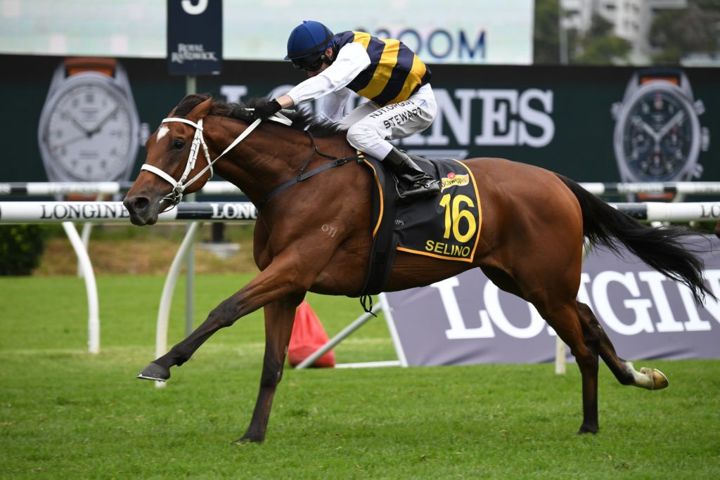 Sydney Cup 2022 Field, Tips, Betting Odds, Results