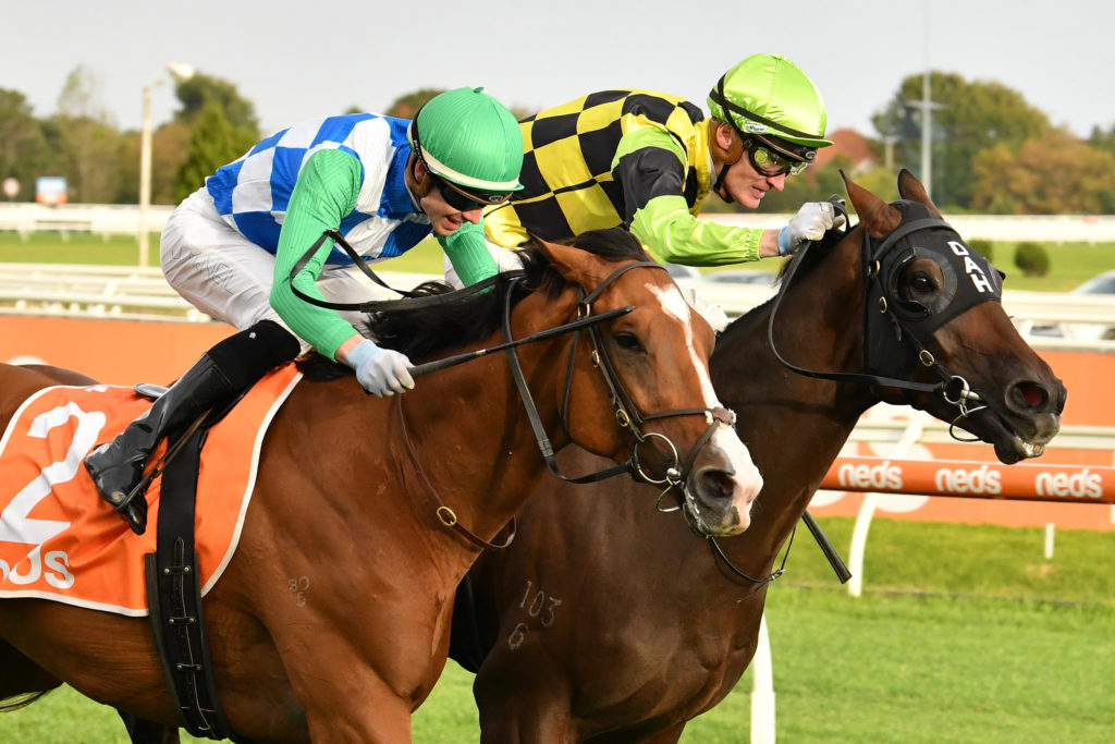 Lindsay Park perfect at Caulfield