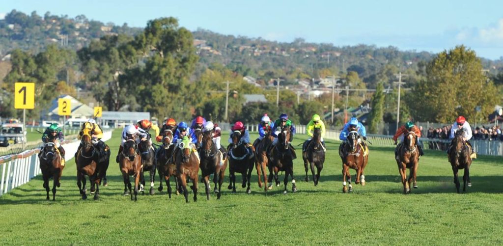 17/6/2024 Horse Racing Tips and Best Bets – Wagga