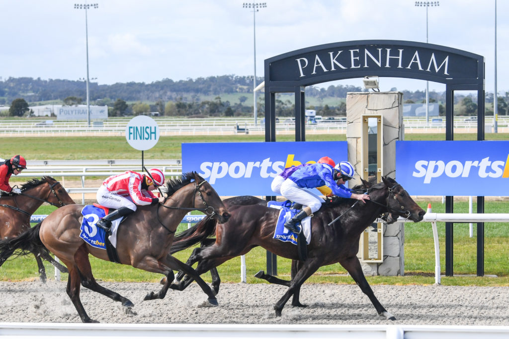 Pakenham Synthetic