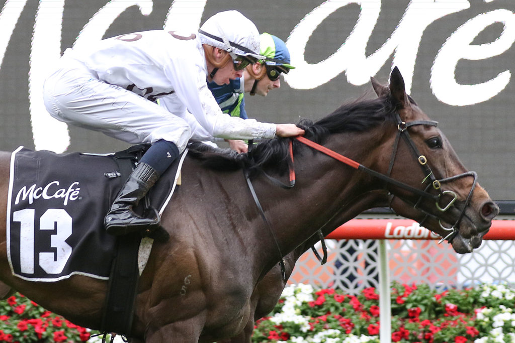 Lunar Flare prevails in the Moonee Valley Cup