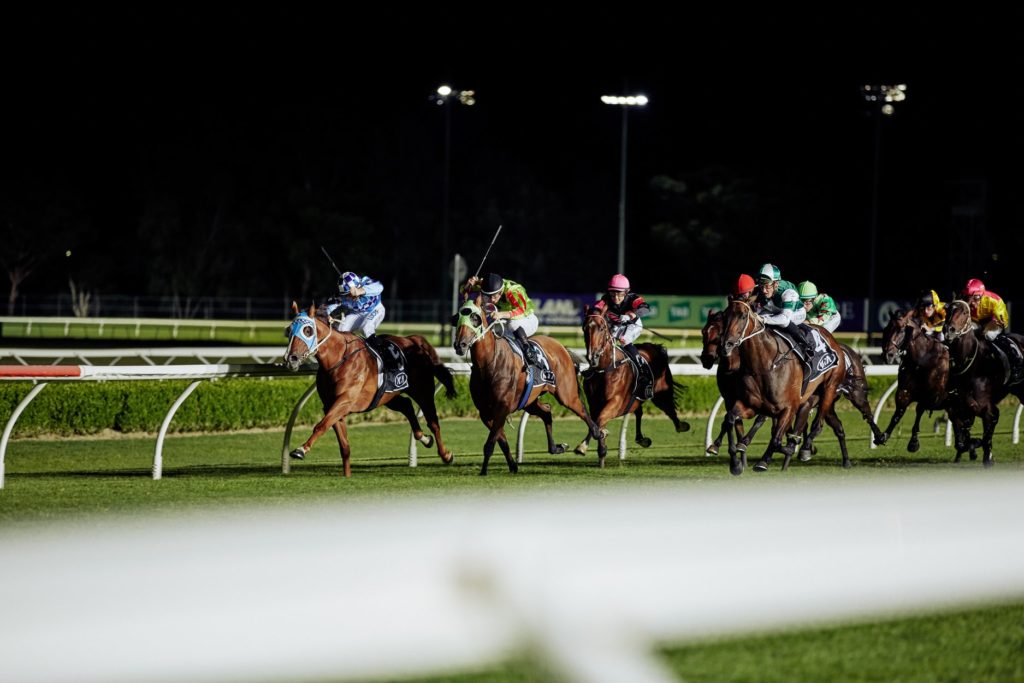 15/11/2024 Horse Racing Tips and Best Bets – Canterbury