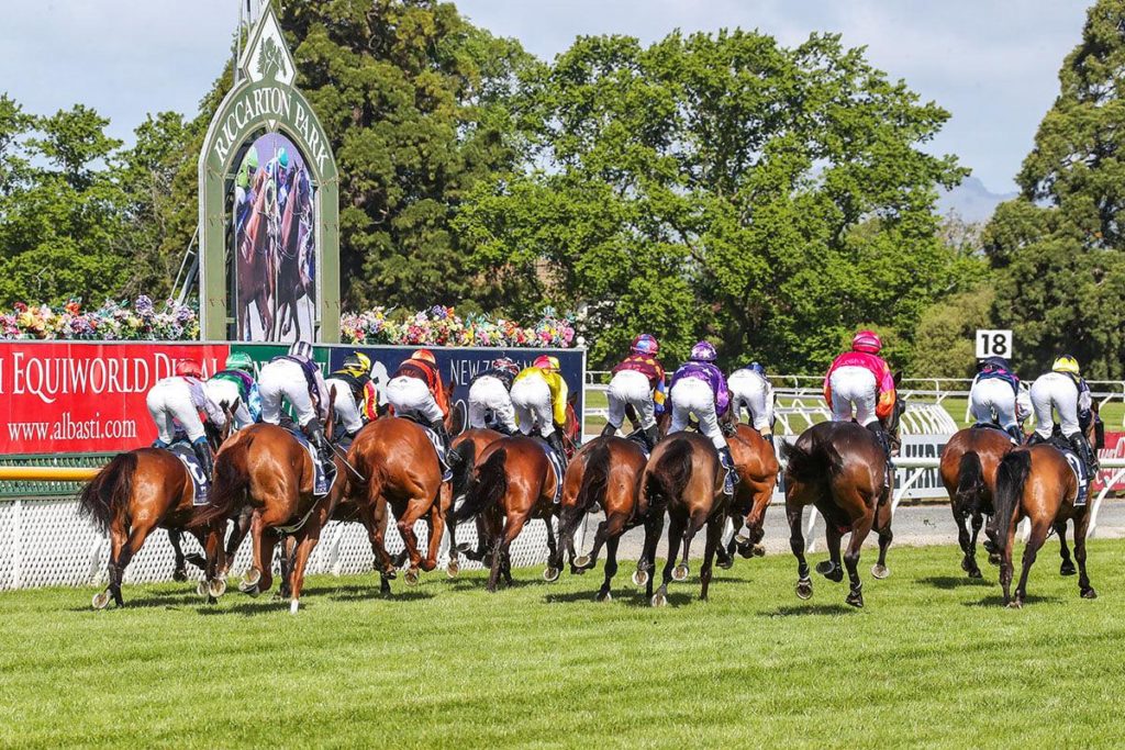 14/9/2024 Horse Racing Tips and Best Bets – Riccarton Park