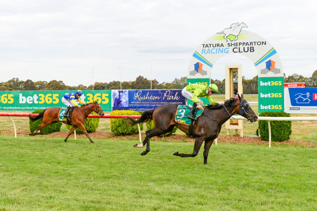 1/10/2024 Horse Racing Tips and Best Bets – Tatura